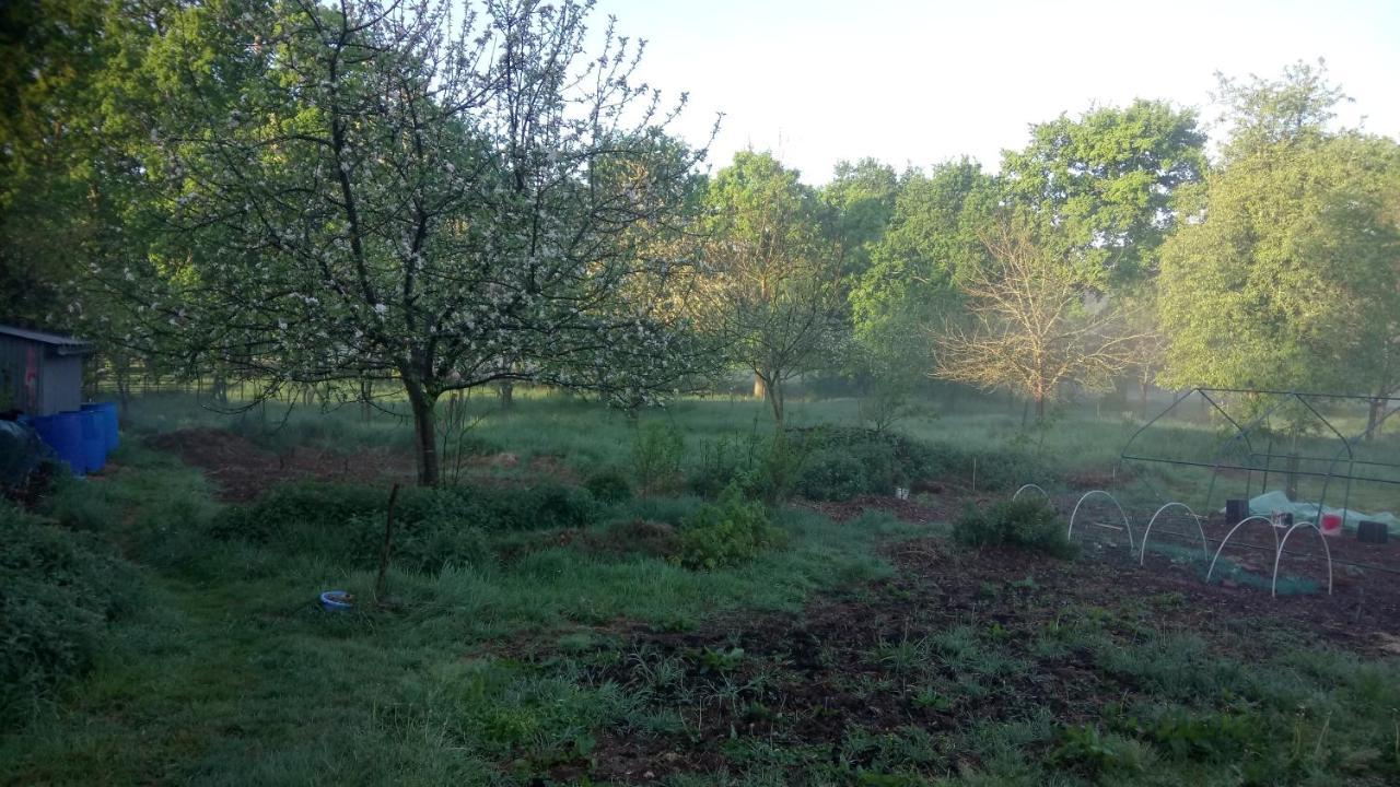 La Roulotte Chainoux Bains-sur-Oust Εξωτερικό φωτογραφία